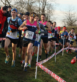 Haut-Rhin Cross Martin.jpg